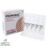 Primobolan  (Methenolone Enanthate) 100mg/ml 10ml Global Pharma